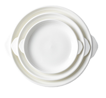 10" Porcelain Plates