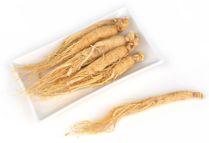 CBS Ginseng